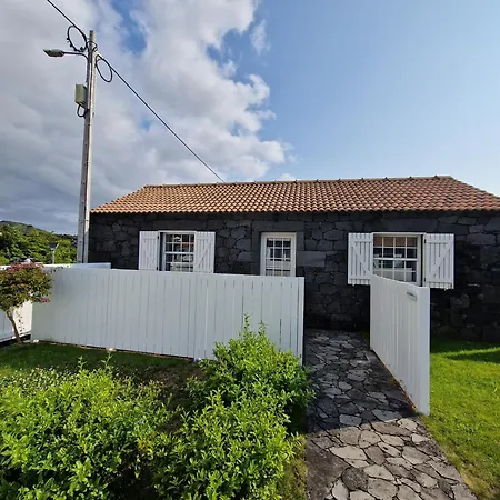 As Casas Da Vinha Villa Criacao Velha Exterior photo