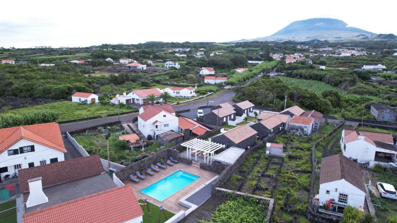 As Casas Da Vinha Criacao Velha