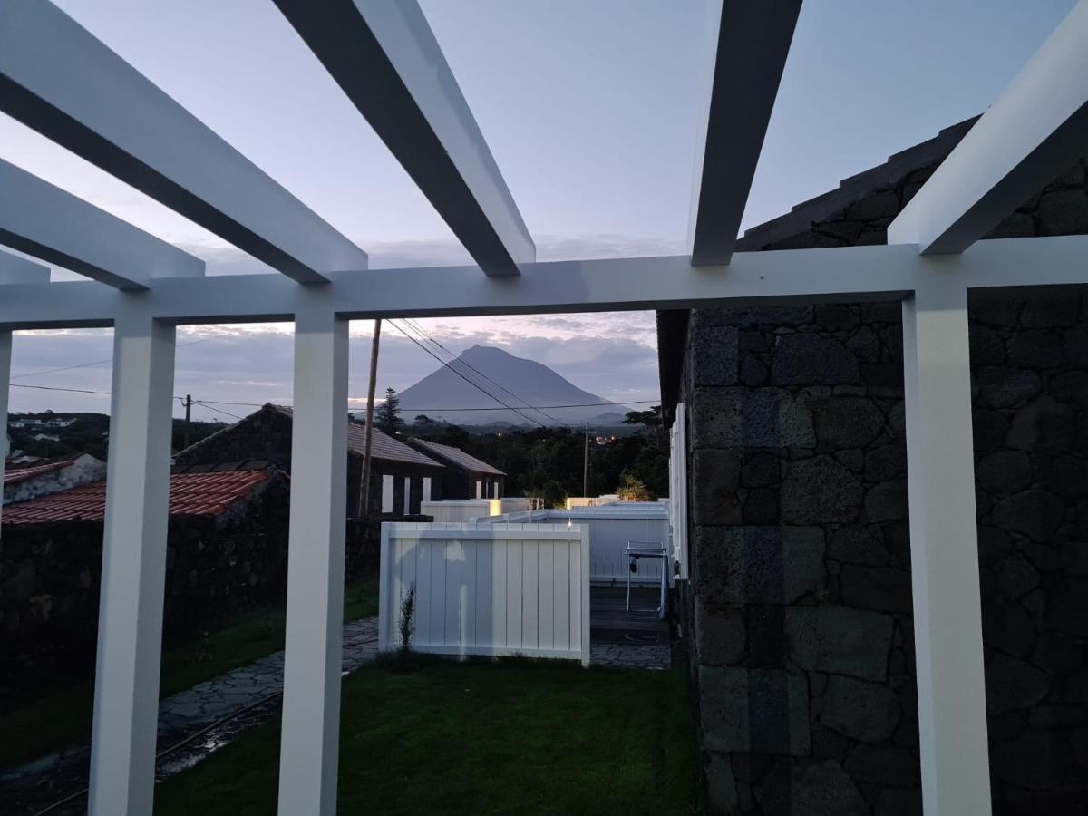 As Casas Da Vinha Criacao Velha