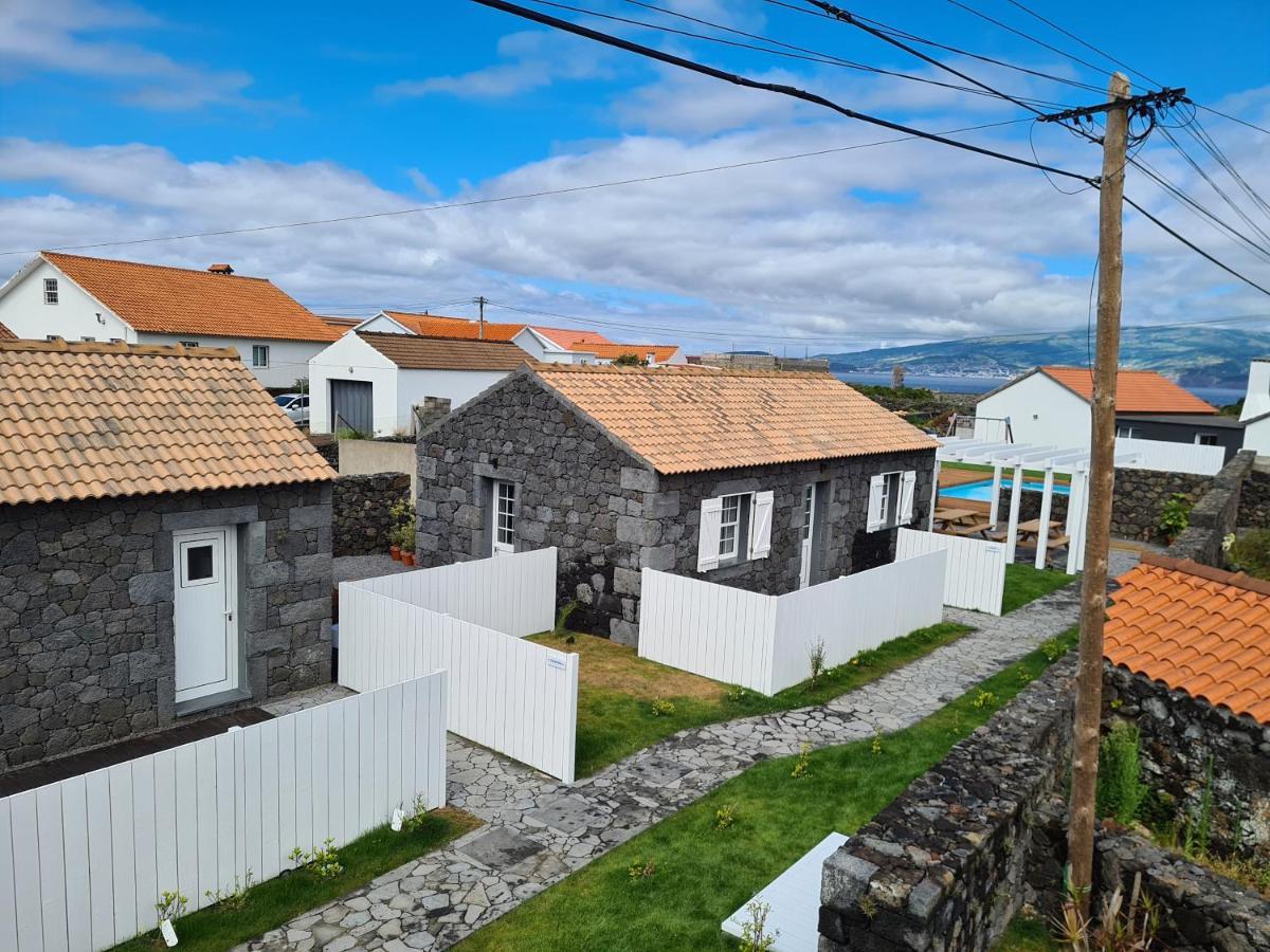 As Casas Da Vinha * Criacao Velha